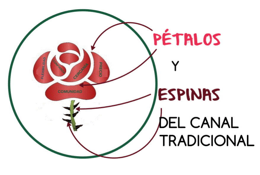 PÉTALOS Y ESPINAS DEL CANAL TRADICIONAL